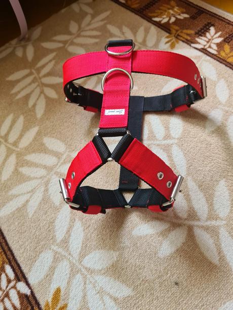 Postroj pre silné bull plemená, 