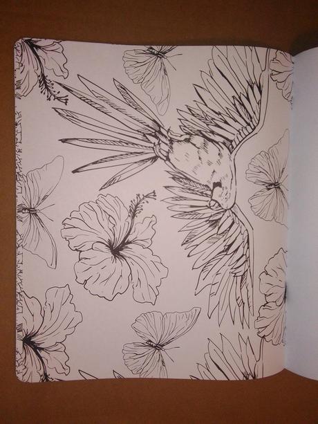 Nature / mandala colouring pad, 