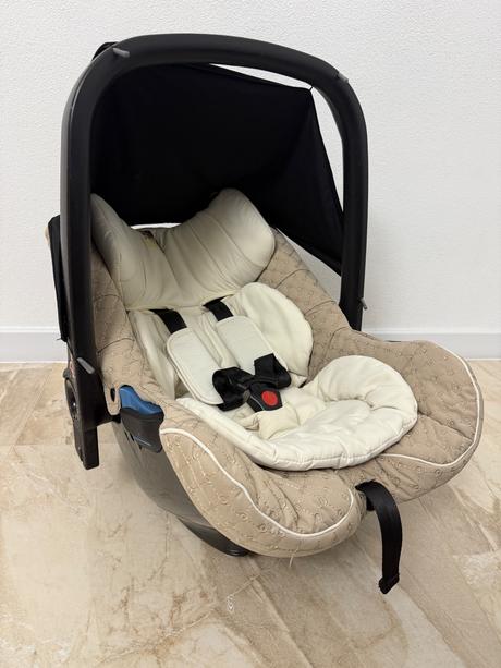 Vajíčko concord, concord