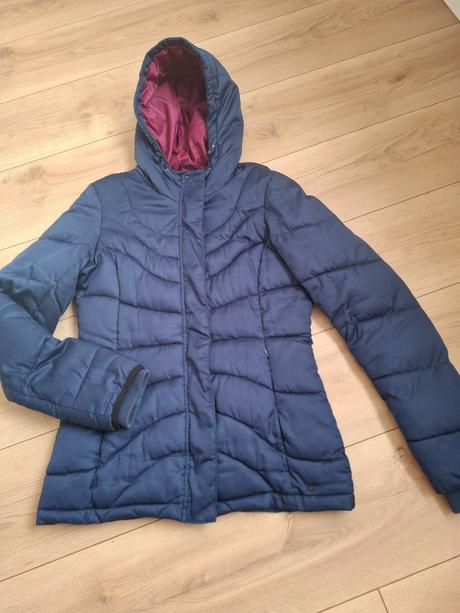 Zimna bunda, kenvelo,s