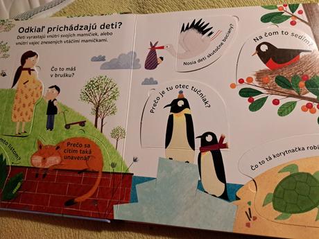 Odkiaľ pochádzajú deti kniha, 