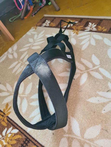 Bežecký postroj na mieru,