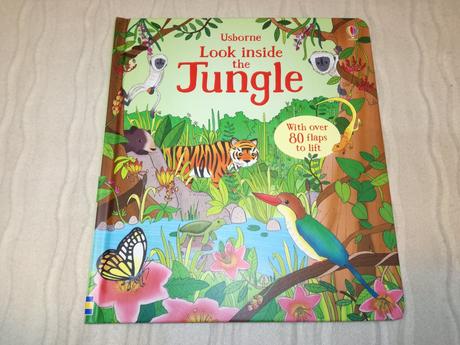 Usborne look inside seas and oceans nsu19,