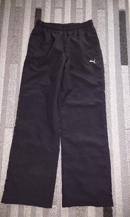Šuštakove nohavice, puma,146