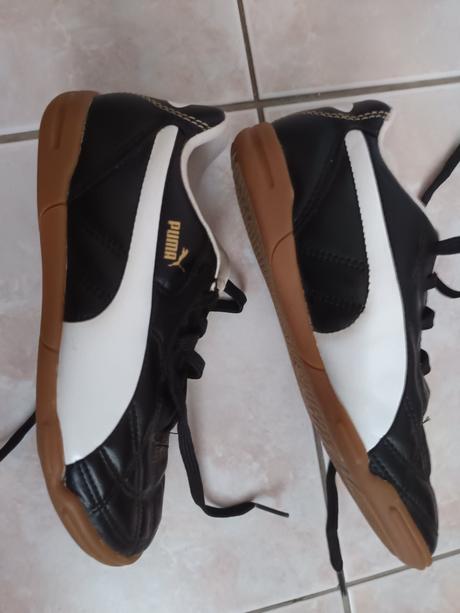 Halovky puma, puma,34