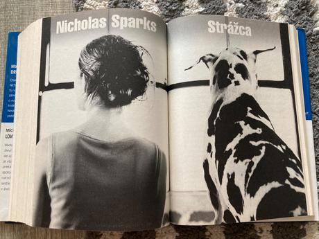 Strážca, druhá šanca, lovec tieňov, iluzionista, 