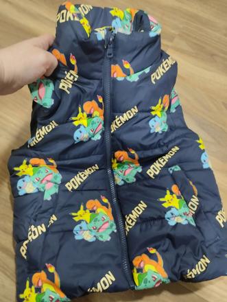 Vesta pokémon, h&m,110