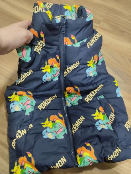 Vesta pokémon, h&m,110
