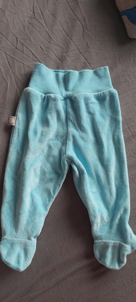 Velurove polodupacky, gmini,62