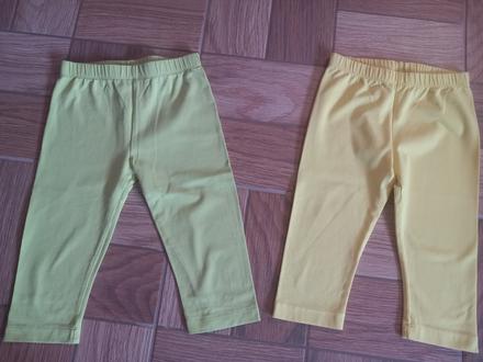 Mayoral leginy, mayoral,116