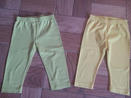 Mayoral leginy, mayoral,116