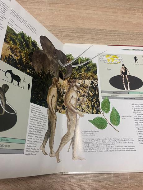 Vědomosti v kostce veľká kniha dinosauři,