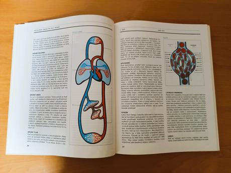 Encyklopédia zdravia pre deti a mládež (1983), 