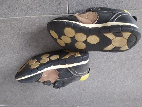 Poltopánky lasocki, lasocki,28