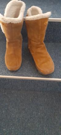 Snehule autorithy, authority,37