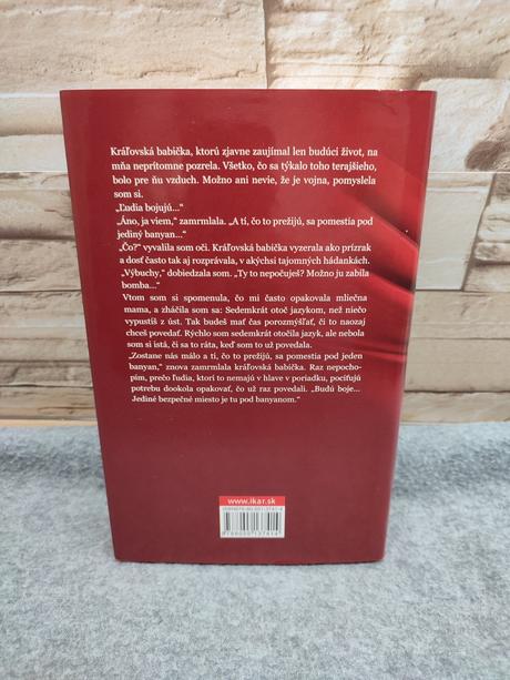 V tieni banyanu - vaddey ratnerová, 