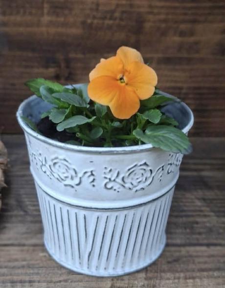 Plechové kvetináče 2 ks ( sada ), 