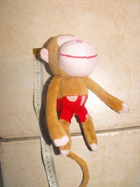 Opica s dlhým chvostom,