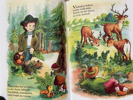 Abeceda vo veršíkoch kniha,