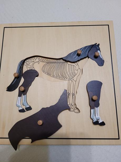 Montessori puzzle s kostrou kôň, 