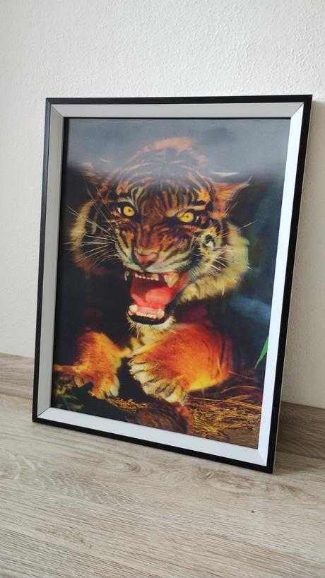 Pohyblivy obraz - tiger, 