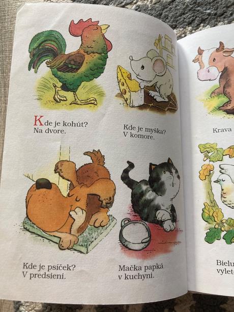 Čim čarara, čim - dudek adolf (1996), 