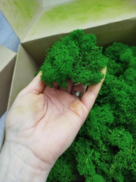 Stabilizovaný mach /lišajník 250g, 