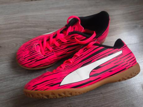 Halovky, puma,31