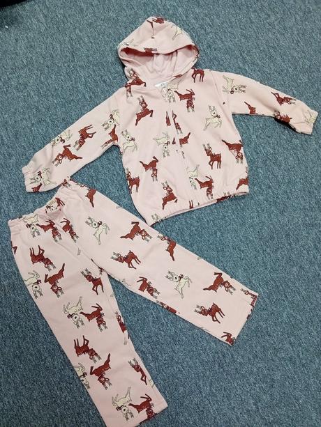 Srnčeková súprava - nohavice a mikina, h&m,110