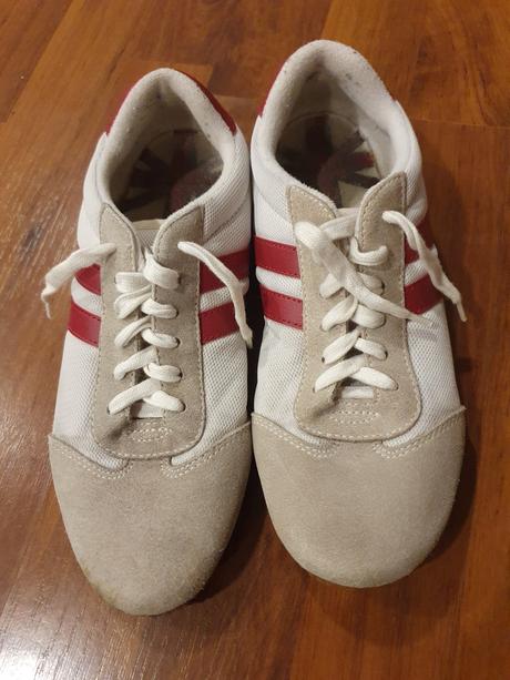 Halovky veľ. 37, 37