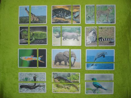 24 ks montessori kartičiek - hlavy/chvosty zvierat,