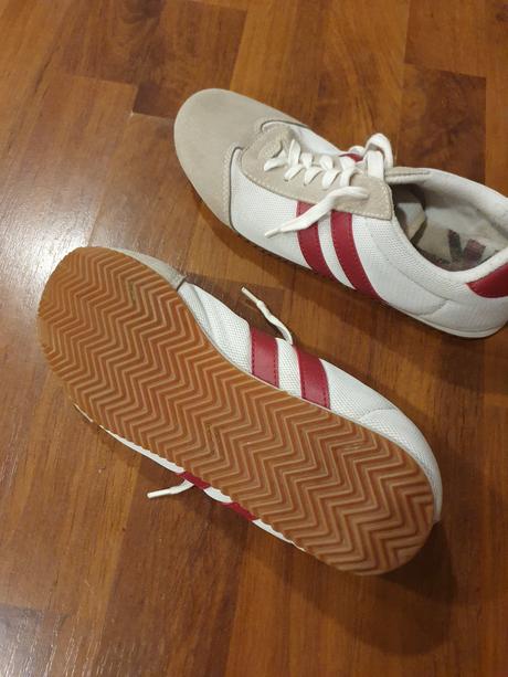 Halovky veľ. 37, 37