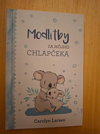 Modlitby za môjho chlapčeka,