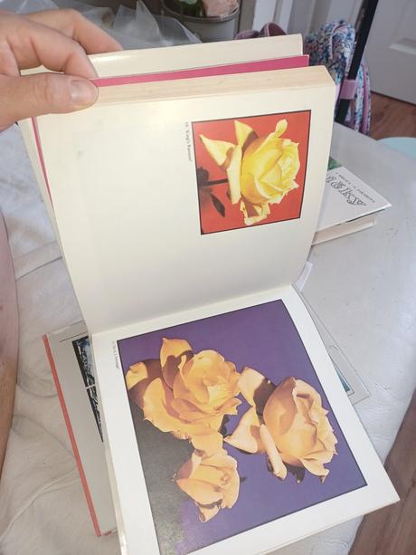 3x kniha,ruze,skalický,tsunami,