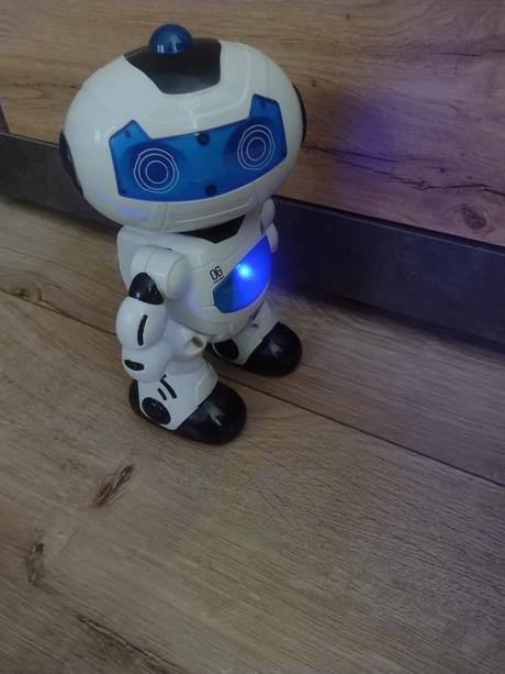 Interaktívny robot, 