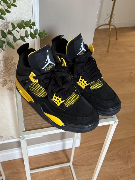 Jordan 4 retro thunde botasky, air jordan,40