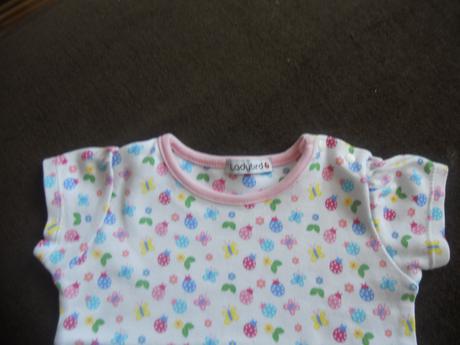 2x ladybird-krásne, ladybird,74