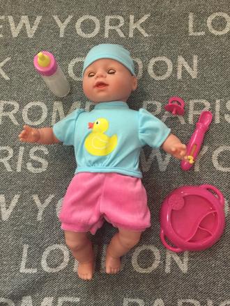 Babika laura - sada na krmenie, 