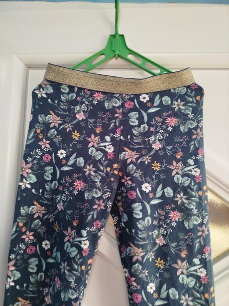 Legíny, coccodrillo,164