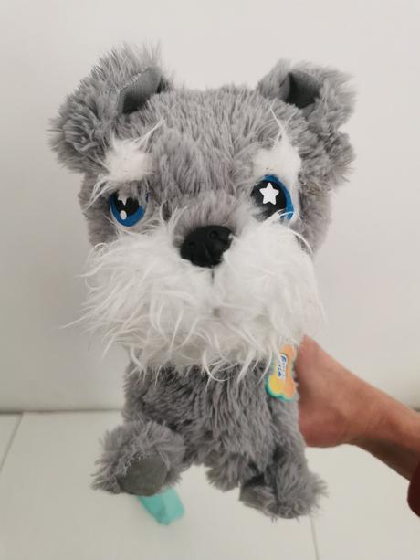 Chodiaci a stekajuci psik tilly, 