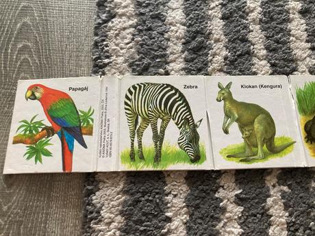 Kde bývajú zvieratká a zoo / leporelá,