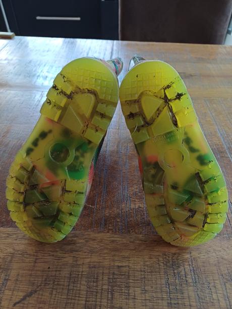 Gumáky svietiace, 31