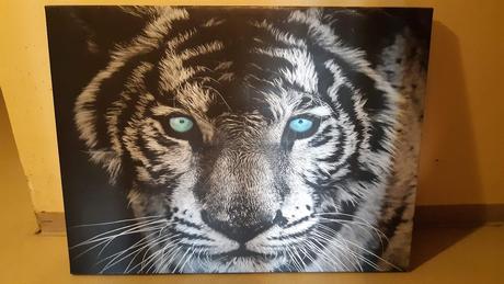 Predám obraz tigra tlac na platne., 