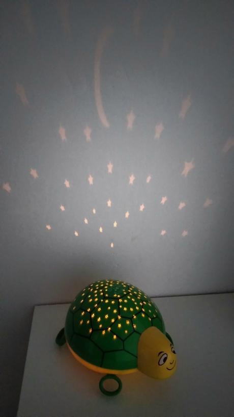 Svietiaca korytnačka, 