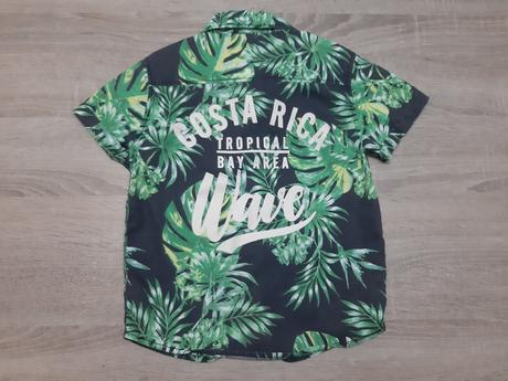 Kosela lindex, lindex,116