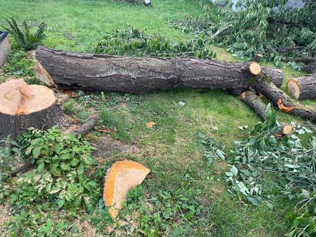 Čerešňové a orechové drevo,