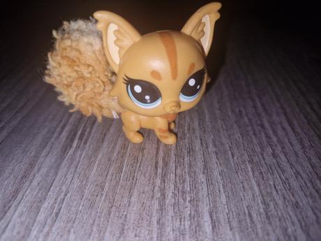 Lps maincoon cat macka,