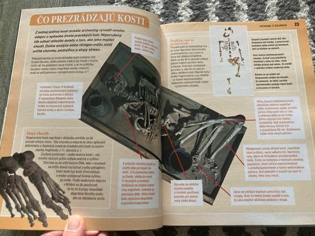 Ako to bolo naozaj (2005),