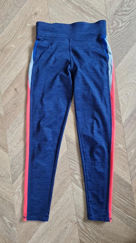 Legíny, st. bernard,146