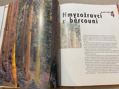 Savci vědomosti v kostce anatomie chování oblasti, 